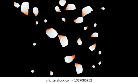 Bright spring background with colored petals. Simple gentle template for the card, invitation, printing. Fashionable decoration with beautiful petals.
