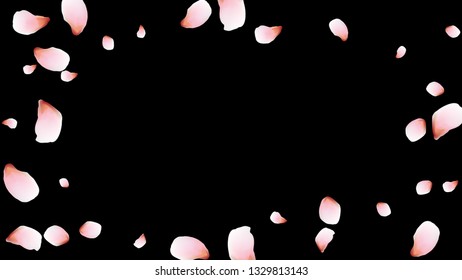 Bright spring background with colored petals. Simple gentle template for the card, invitation, printing. Fashionable decoration with beautiful petals.
