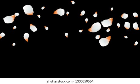 Bright spring background with colored petals. Simple gentle template for the card, invitation, printing. Fashionable decoration with beautiful petals.
