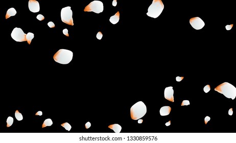 Bright spring background with colored petals. Simple gentle template for the card, invitation, printing. Fashionable decoration with beautiful petals.

