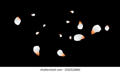 Bright spring background with colored petals. Simple gentle template for the card, invitation, printing. Fashionable decoration with beautiful petals.
