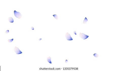 Bright spring background with colored petals. Simple gentle template for the card, invitation, printing. Fashionable decoration with beautiful petals.
