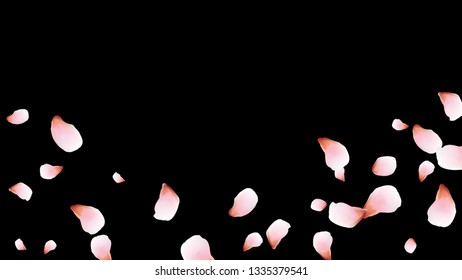 Bright spring background with colored petals. Simple gentle template for the card, invitation, printing. Fashionable decoration with beautiful petals.
