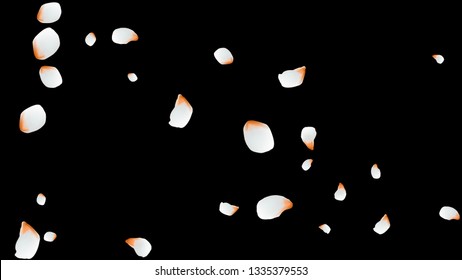 Bright spring background with colored petals. Simple gentle template for the card, invitation, printing. Fashionable decoration with beautiful petals.
