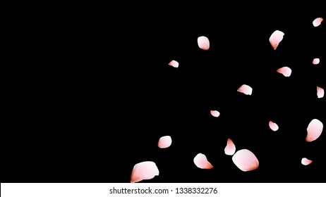 Bright spring background with colored petals. Simple gentle template for the card, invitation, printing. Fashionable decoration with beautiful petals.
