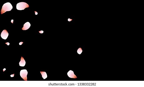 Bright spring background with colored petals. Simple gentle template for the card, invitation, printing. Fashionable decoration with beautiful petals.
