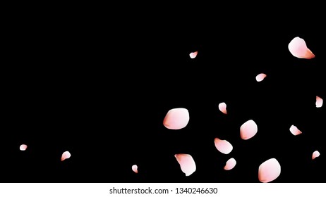 Bright spring background with colored petals. Simple gentle template for the card, invitation, printing. Fashionable decoration with beautiful petals.
