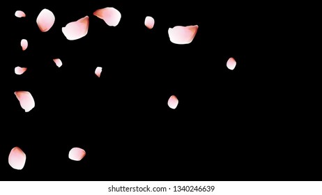 Bright spring background with colored petals. Simple gentle template for the card, invitation, printing. Fashionable decoration with beautiful petals.
