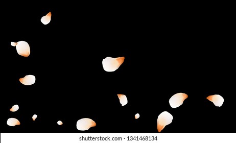 Bright spring background with colored petals. Simple gentle template for the card, invitation, printing. Fashionable decoration with beautiful petals.