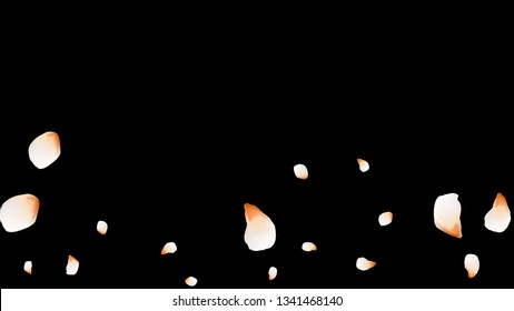 Bright spring background with colored petals. Simple gentle template for the card, invitation, printing. Fashionable decoration with beautiful petals.