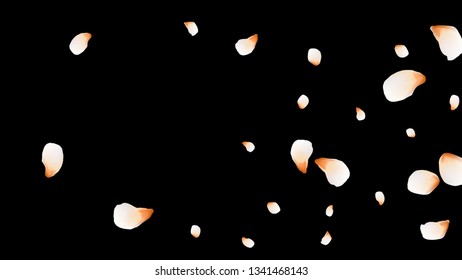 Bright spring background with colored petals. Simple gentle template for the card, invitation, printing. Fashionable decoration with beautiful petals.