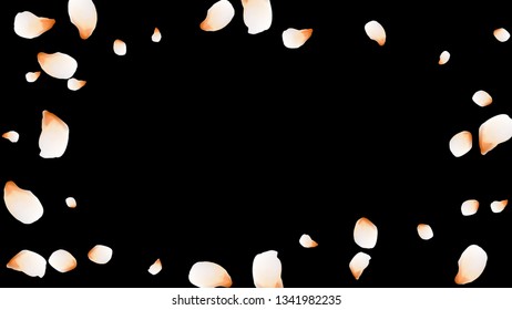 Bright spring background with colored petals. Simple gentle template for the card, invitation, printing. Fashionable decoration with beautiful petals.