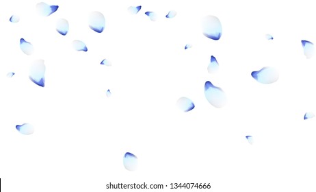 Bright spring background with colored petals. Simple gentle template for the card, invitation, printing. Fashionable decoration with beautiful petals.