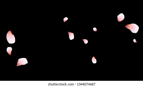 Bright spring background with colored petals. Simple gentle template for the card, invitation, printing. Fashionable decoration with beautiful petals.