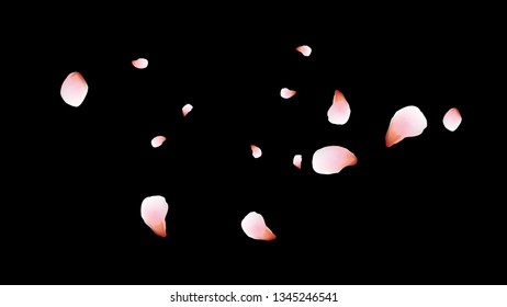 Bright spring background with colored petals. Simple gentle template for the card, invitation, printing. Fashionable decoration with beautiful petals.
