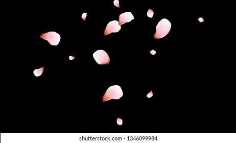 Bright spring background with colored petals. Simple gentle template for the card, invitation, printing. Fashionable decoration with beautiful petals.