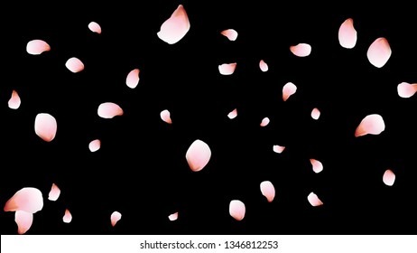 Bright spring background with colored petals. Simple gentle template for the card, invitation, printing. Fashionable decoration with beautiful petals.