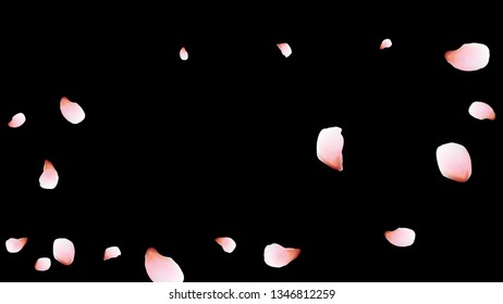 Bright spring background with colored petals. Simple gentle template for the card, invitation, printing. Fashionable decoration with beautiful petals.