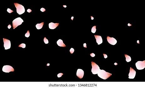 Bright spring background with colored petals. Simple gentle template for the card, invitation, printing. Fashionable decoration with beautiful petals.