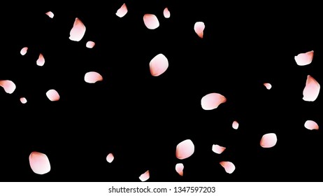 Bright spring background with colored petals. Simple gentle template for the card, invitation, printing. Fashionable decoration with beautiful petals.