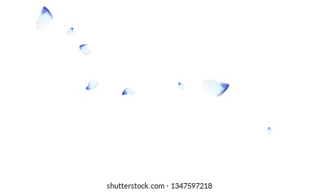 Bright spring background with colored petals. Simple gentle template for the card, invitation, printing. Fashionable decoration with beautiful petals.