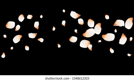 Bright spring background with colored petals. Simple gentle template for the card, invitation, printing. Fashionable decoration with beautiful petals.