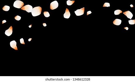 Bright spring background with colored petals. Simple gentle template for the card, invitation, printing. Fashionable decoration with beautiful petals.