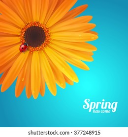 Bright spring background design. Vector resizable illustration.