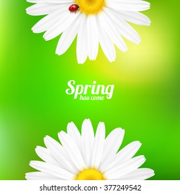Bright spring background design. Vector resizable illustration.