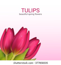 Bright spring background design. Vector resizable illustration.