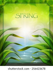 Bright spring background with grass and water