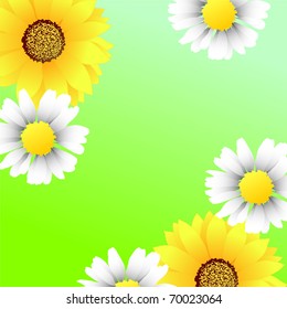 Bright spring background with sunflowers and chamomiles (eps8)