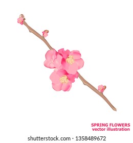 Bright spring flowers. Vector illustration template. Spring sale background with beautiful colorful flowers.
