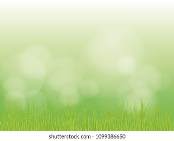 Bright spring grass field with sunlight bokeh background. vector illustration.
