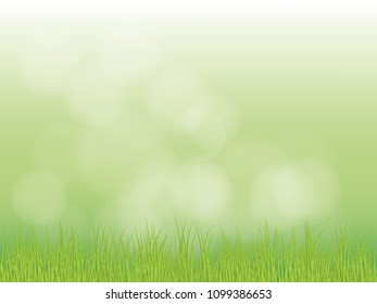 Bright spring grass field with sunlight bokeh background. vector illustration.