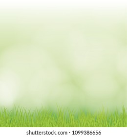 Bright spring grass field with sunlight bokeh background. vector illustration.