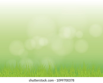 Bright spring grass field with sunlight bokeh background. vector illustration.
