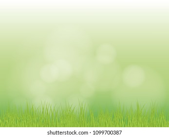 Bright spring grass field with sunlight bokeh background. vector illustration.