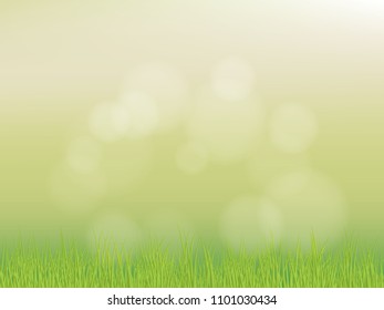 Bright spring grass field with sunlight bokeh background. vector illustration.