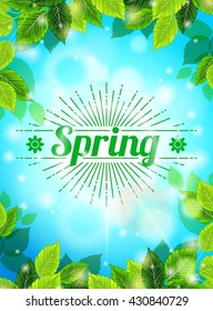 Bright Spring realistic background, blue sky, green leaves. Sunburst text, glare, glow. Template for web design. Vector illustration