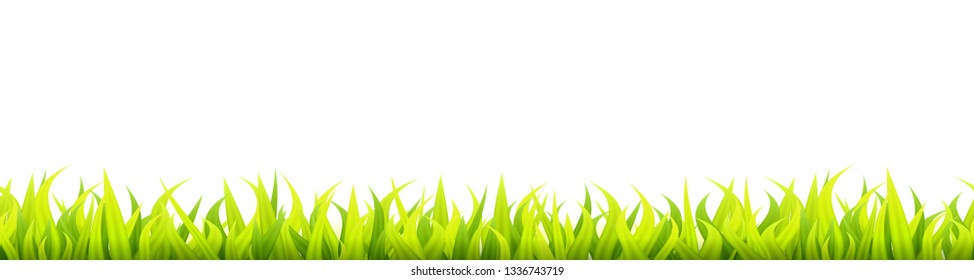 Bright springtime lawn banner. Summer or spring grass decoration. Fresh greenery height
