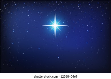 The bright star in night sky  graphic vector
