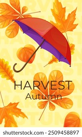Bright story design with an umbrella and leaves in the background. Red-violet umbrella for a poster or story on an autumn theme with maple and chestnut leaves