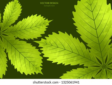 Bright stylish abstract background with chestnut leaves for your design. Vector illustration