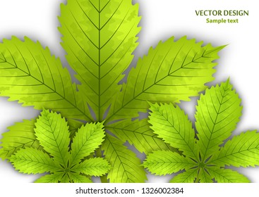 Bright stylish abstract background with chestnut leaves for your design. Design for covers, posters, flyers and banners. Vector illustration