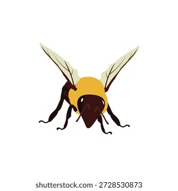 Una Ilustración vectorial brillante y estilizada de una sola abeja de miel, perfectamente aislada sobre un fondo blanco limpio. Diseñado con una estética amigable y accesible, este insecto detallado presenta un cuerpo regordete, de rayas amarillas y negras, alas translúcidas de estilo Vector con delicados detalles de línea y un sombreado sutil que agrega profundidad. La abeja tiene ojos Grandes y expresivos y antenas delicadas, capturando su encanto polinizador sin realismo. Representado en alta resolución con rutas de Vector nítidas y editables, este gráfico es ideal para materiales educativos, marca temática de la naturaleza, empaques de productos, íconos de Sitios web, libros infantiles o cualquier proyecto que requiera un símbolo positivo y ecológico. Fácil de escalar, recolorear y separar en capas