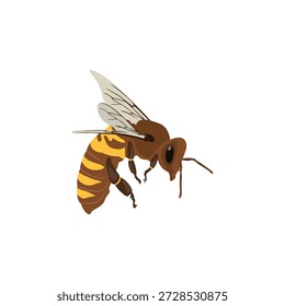 A bright, stylized vector illustration of a single honey bee, perfectly isolated on a clean white background. Designed with a friendly and approachable aesthetic, this detailed insect features a plump, striped yellow and black body, translucent vector-style wings with delicate line details, and subtle shading that adds depth. The bee has large, expressive eyes and delicate antennae, capturing its pollinator charm without realism. Rendered in high resolution with crisp, editable vector paths, this graphic is ideal for educational materials, nature-themed branding, product packaging, website icons, children's books, or any project requiring a positive, eco-friendly symbol. Easy to scale, recolor, and separate into layers