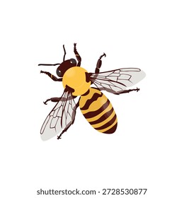 A bright, stylized vector illustration of a single honey bee, perfectly isolated on a clean white background. Designed with a friendly and approachable aesthetic, this detailed insect features a plump, striped yellow and black body, translucent vector-style wings with delicate line details, and subtle shading that adds depth. The bee has large, expressive eyes and delicate antennae, capturing its pollinator charm without realism. Rendered in high resolution with crisp, editable vector paths, this graphic is ideal for educational materials, nature-themed branding, product packaging, website icons, children's books, or any project requiring a positive, eco-friendly symbol. Easy to scale, recolor, and separate into layers