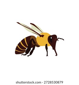 A bright, stylized vector illustration of a single honey bee, perfectly isolated on a clean white background. Designed with a friendly and approachable aesthetic, this detailed insect features a plump, striped yellow and black body, translucent vector-style wings with delicate line details, and subtle shading that adds depth. The bee has large, expressive eyes and delicate antennae, capturing its pollinator charm without realism. Rendered in high resolution with crisp, editable vector paths, this graphic is ideal for educational materials, nature-themed branding, product packaging, website icons, children's books, or any project requiring a positive, eco-friendly symbol. Easy to scale, recolor, and separate into layers
