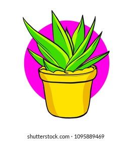 Bright Succulent vector lineart illustration for poster, banner, logo, icon, website, fashion print. Cactus collection, plant exhibition or flower shop
